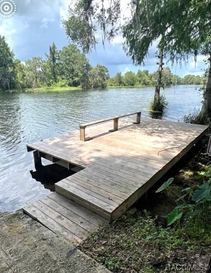 3734 W Riverview Ln, Dunnellon, FL 34433 - photo 6