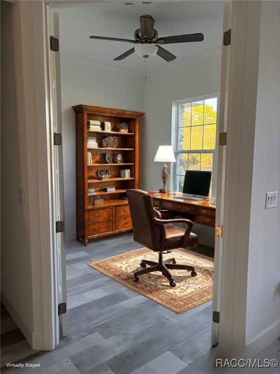 office space featuring light hardwood / wood-style flooring and ceiling fan