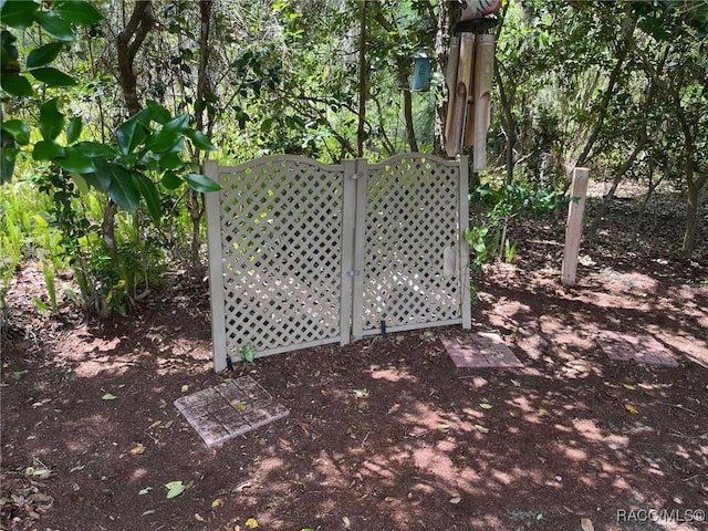 717 Whispering Pines Blvd, Inverness, FL 34453 - view of yard