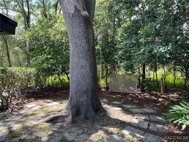 717 Whispering Pines Blvd, Inverness, FL 34453 - view of yard
