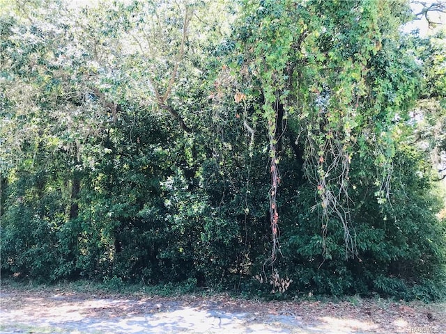 17 Cypress Blvd E, Homosassa, FL 34446 - photo 6