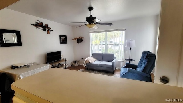 living room with ceiling fan and hardwood / wood-style floors