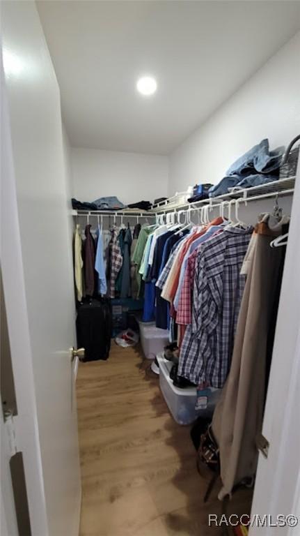 spacious closet featuring wood-type flooring