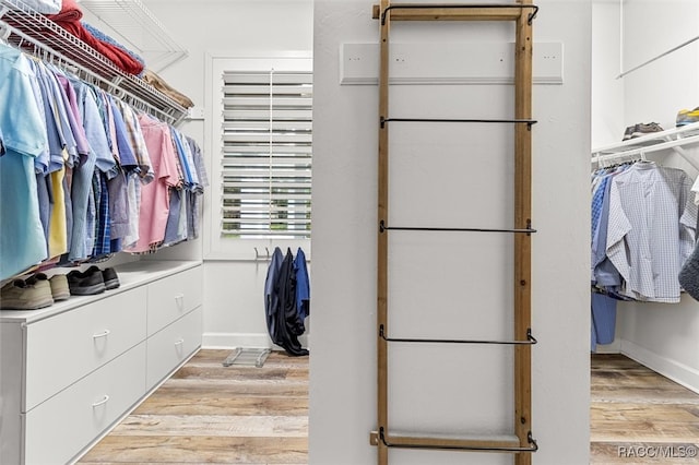 spacious closet with light wood finished floors