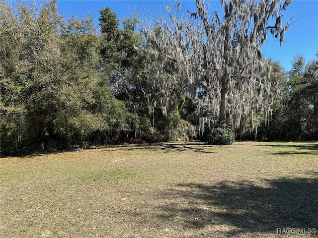 Listing photo 2 for 116 Dr Martin Luther King Jr Ave, Inverness FL 34450