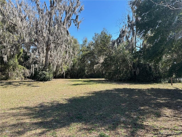 Listing photo 3 for 116 Dr Martin Luther King Jr Ave, Inverness FL 34450