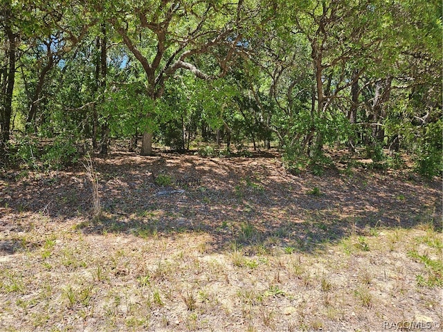 Listing photo 3 for 7604 N Dalton Ter, Dunnellon FL 34434