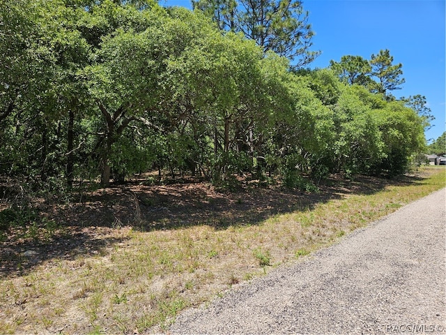 7604 N Dalton Ter, Dunnellon FL, 34434 land for sale