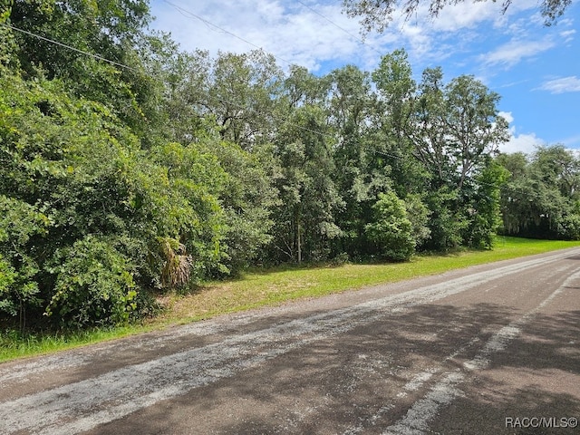 604 N Brighton Rd, Lecanto, FL 34461 - photo 5