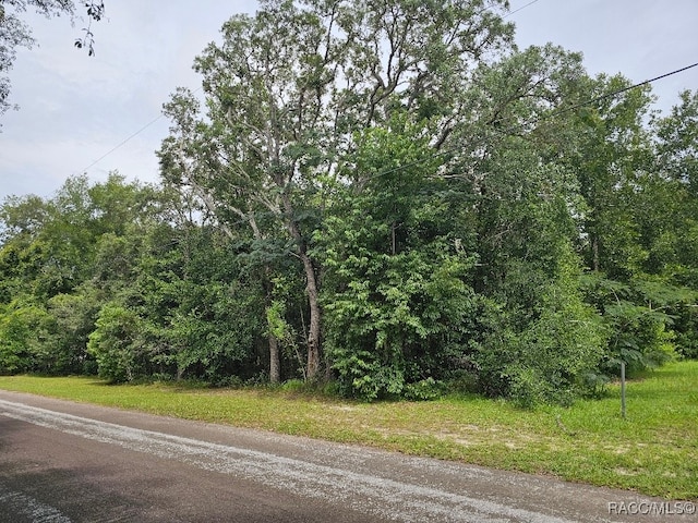 604 N Brighton Rd, Lecanto, FL 34461 - photo 6