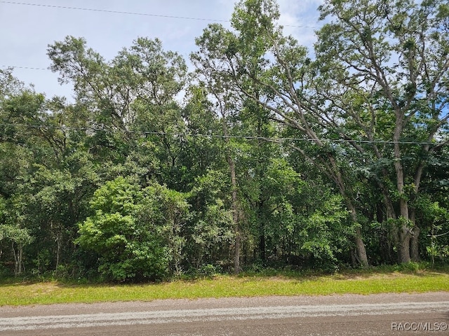 604 N Brighton Rd, Lecanto, FL 34461 - photo 4
