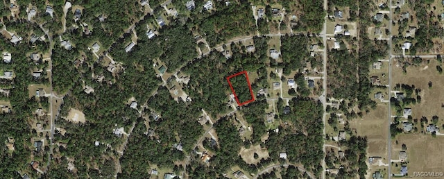 604 N Brighton Rd, Lecanto, FL 34461 - photo 2