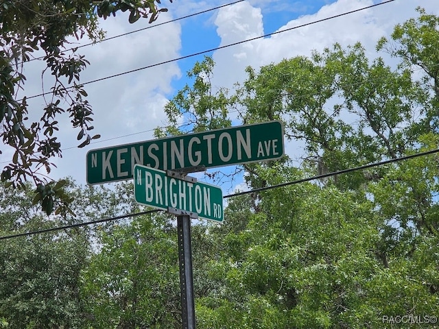 604 N Brighton Rd, Lecanto, FL 34461 - photo 3