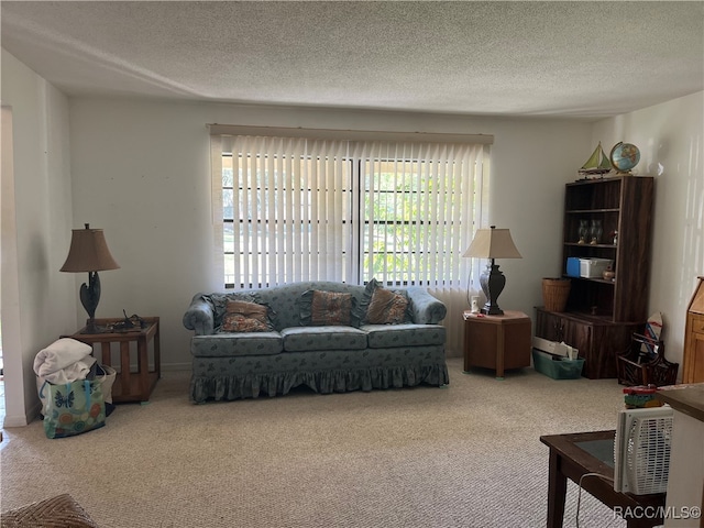 living room featuring carpet and a textured ceiling