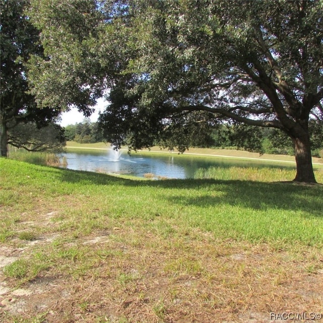 property view of water