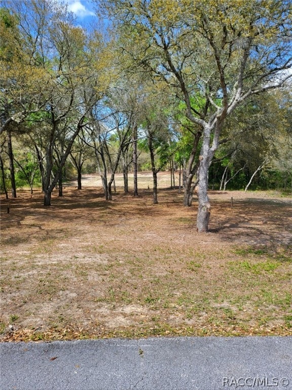 20865 SW 70th St, Dunnellon FL, 34431 land for sale