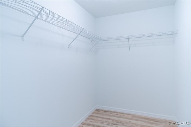 97 W Camino Ln, Citrus Springs, FL 34434 - spacious closet featuring light wood-style floors