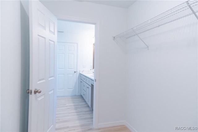 97 W Camino Ln, Citrus Springs, FL 34434 - walk in closet featuring light wood-type flooring