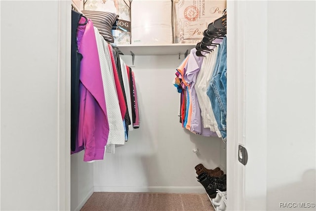 688 Midway Dr Unit B, Ocala, FL 34472 - walk in closet featuring carpet