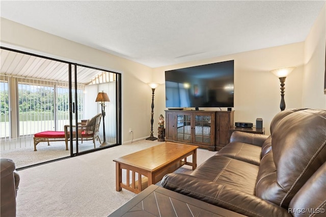 688 Midway Dr Unit B, Ocala, FL 34472 - carpeted living room featuring healthy amount of natural light and a textured ceiling