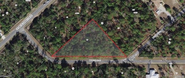 10551 W Belfast St, Crystal River, FL 34428