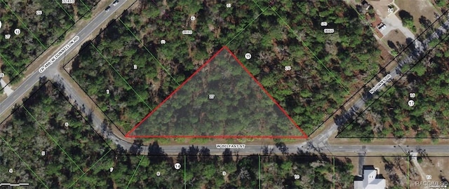 10551 W Belfast St, Crystal River FL, 34428 land for sale