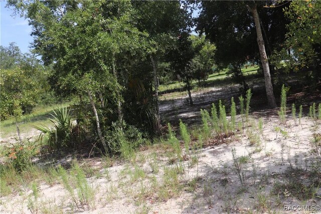 11924 N Belluzzi Ter, Dunnellon, FL 34433