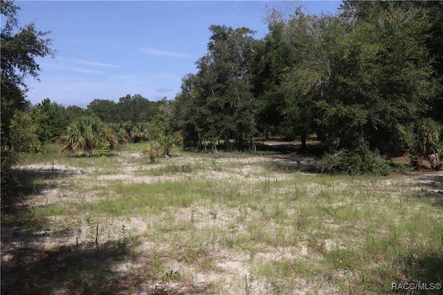 11924 N Belluzzi Ter, Dunnellon, FL 34433