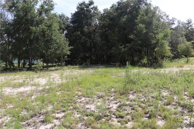 11924 N Belluzzi Ter, Dunnellon, FL 34433