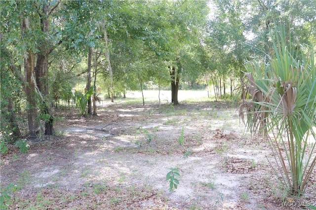 11924 N Belluzzi Ter, Dunnellon, FL 34433