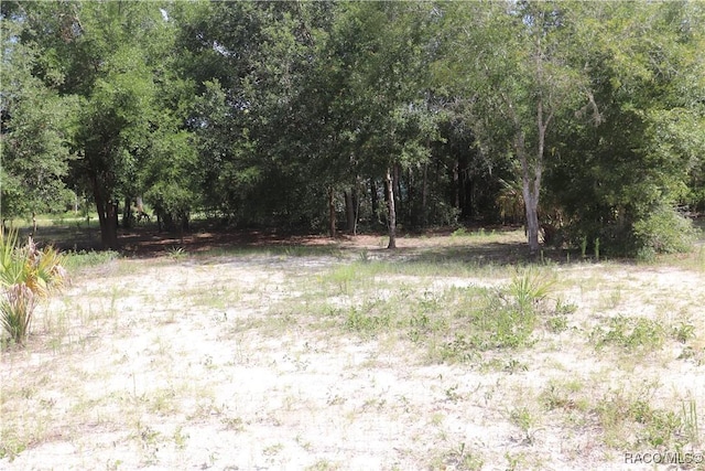 11924 N Belluzzi Ter, Dunnellon, FL 34433