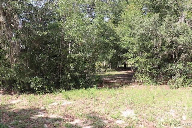 11924 N Belluzzi Ter, Dunnellon, FL 34433