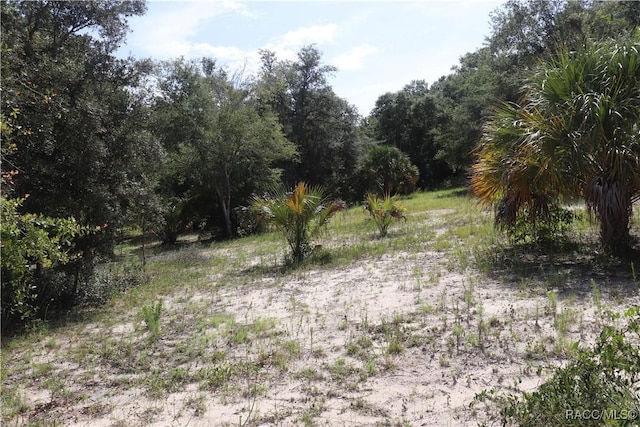 11924 N Belluzzi Ter, Dunnellon, FL 34433