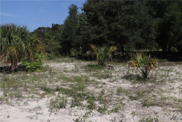 11924 N Belluzzi Ter, Dunnellon, FL 34433
