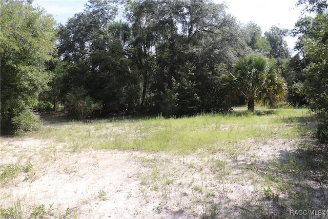 11924 N Belluzzi Ter, Dunnellon, FL 34433