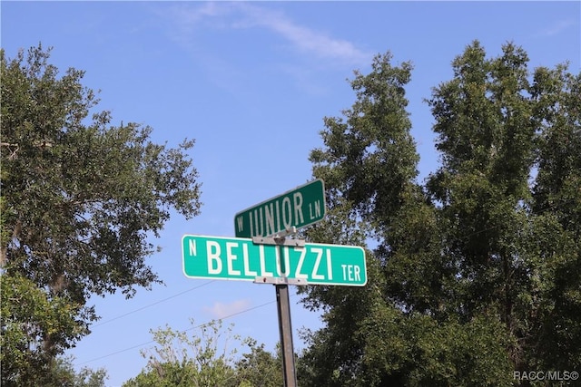 11924 N Belluzzi Ter, Dunnellon, FL 34433