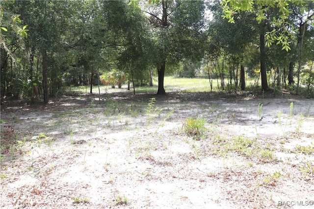 11924 N Belluzzi Ter, Dunnellon, FL 34433