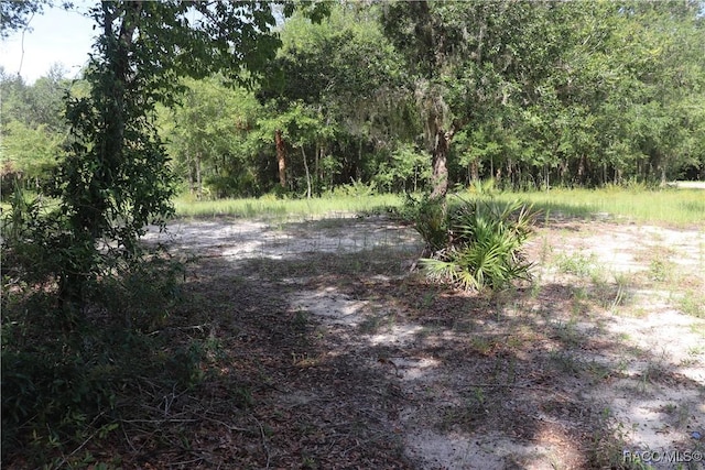 11924 N Belluzzi Ter, Dunnellon, FL 34433