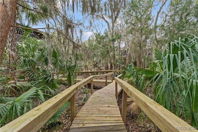 5155 S Gray Pelican Way, Homosassa, FL 34448 - view of community
