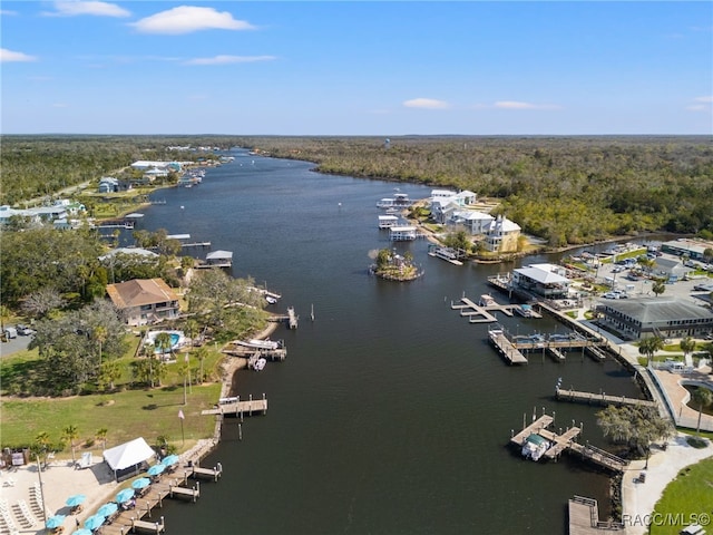 5155 S Gray Pelican Way, Homosassa, FL 34448 - drone / aerial view of a large body of water and a forest
