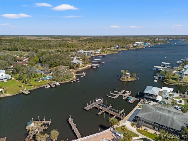 5155 S Gray Pelican Way, Homosassa, FL 34448 - view of property location with a nearby body of water