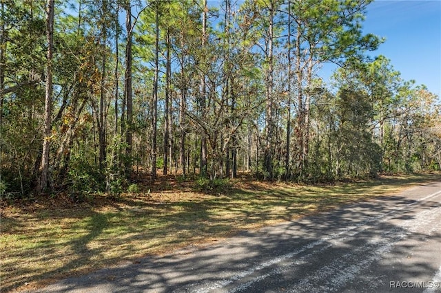 645 N Heathrow Dr, Lecanto FL, 34461 land for sale