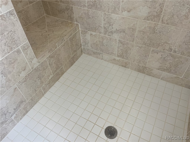 interior details featuring tiled shower