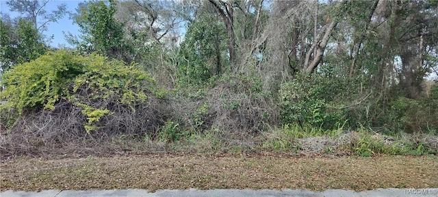 204 Adelphi St, Inverness FL, 34452 land for sale