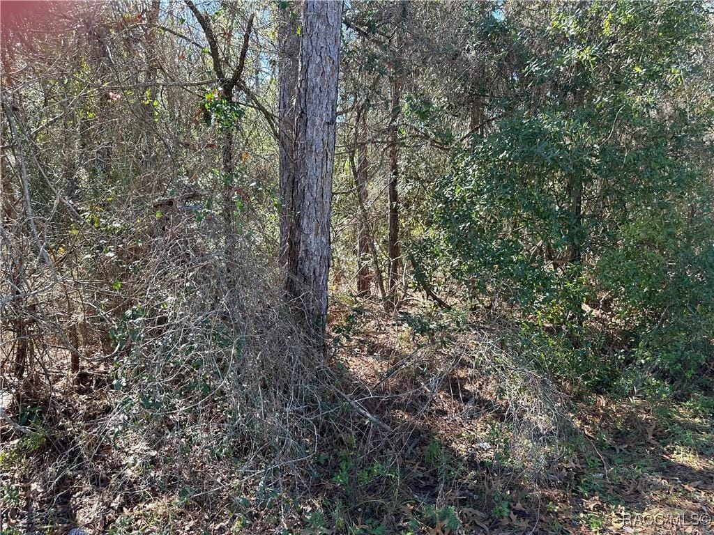 6202 N Mariner Ter, Dunnellon, FL 34433