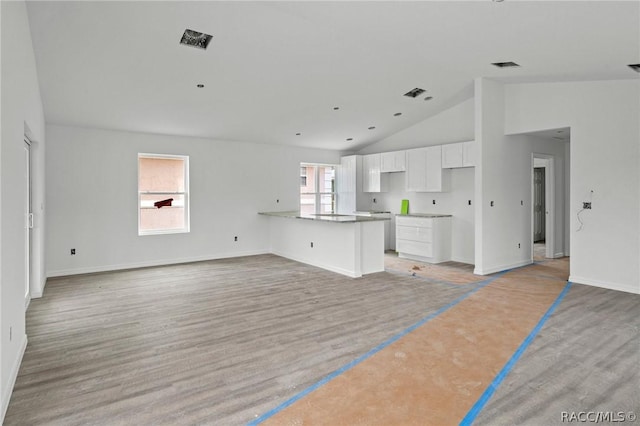 unfurnished living room with light hardwood / wood-style floors and vaulted ceiling