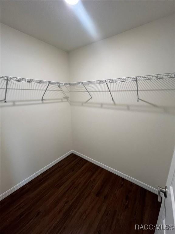 spacious closet with dark wood-type flooring