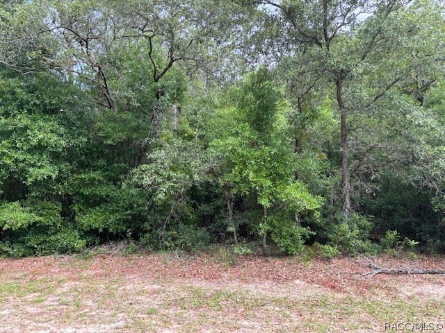 4270 N Indianriver Dr, Hernando FL, 34442 land for sale