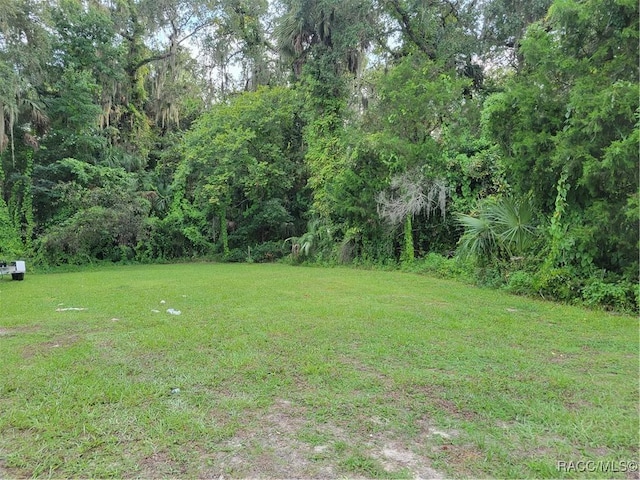 4843 S Acree Pt, Homosassa, FL 34448 - photo 2