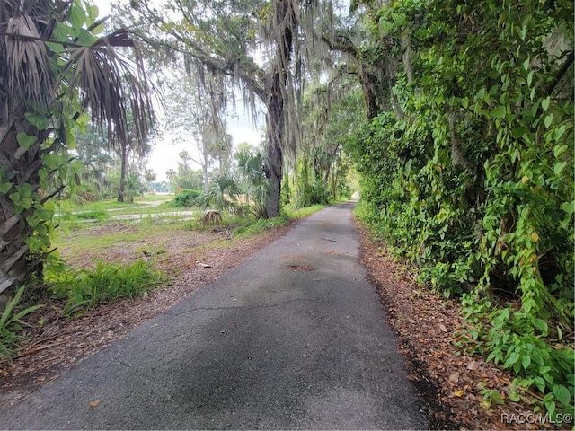 4843 S Acree Pt, Homosassa, FL 34448 - photo 4